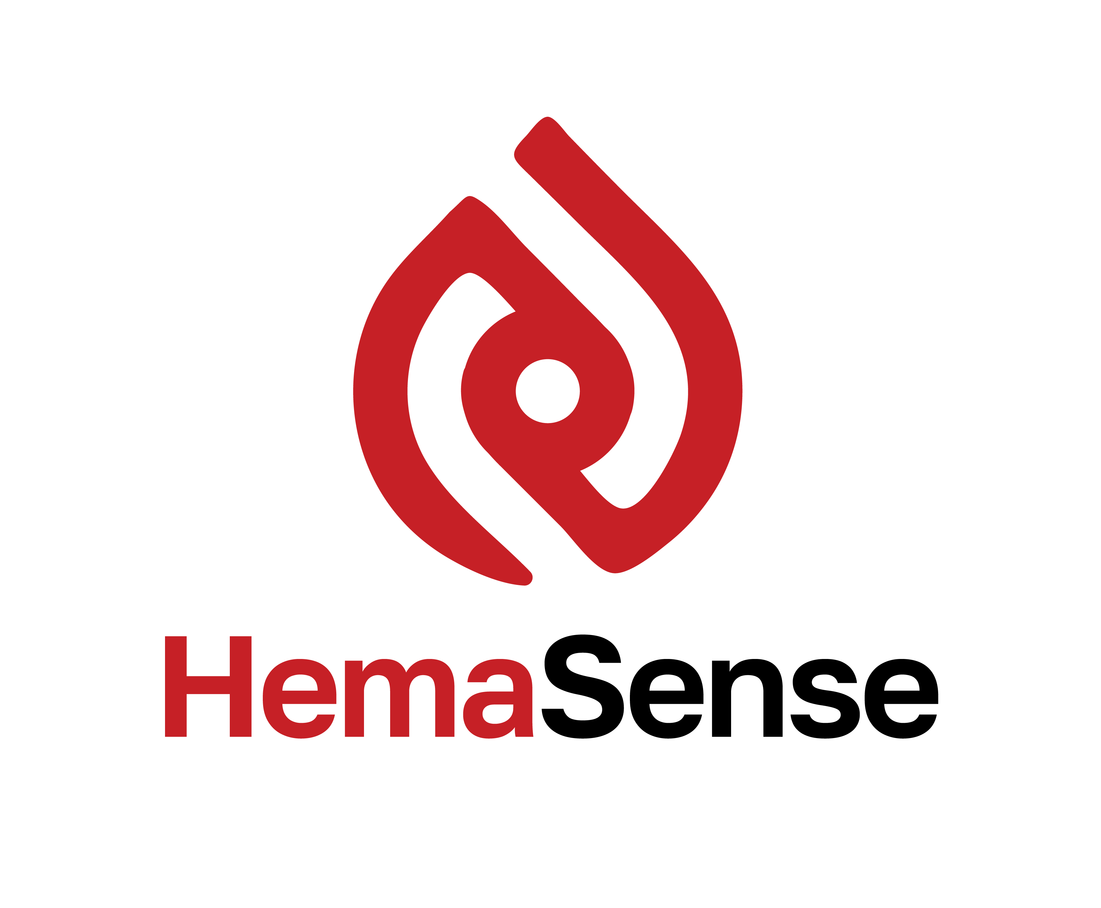 HemaSense logo